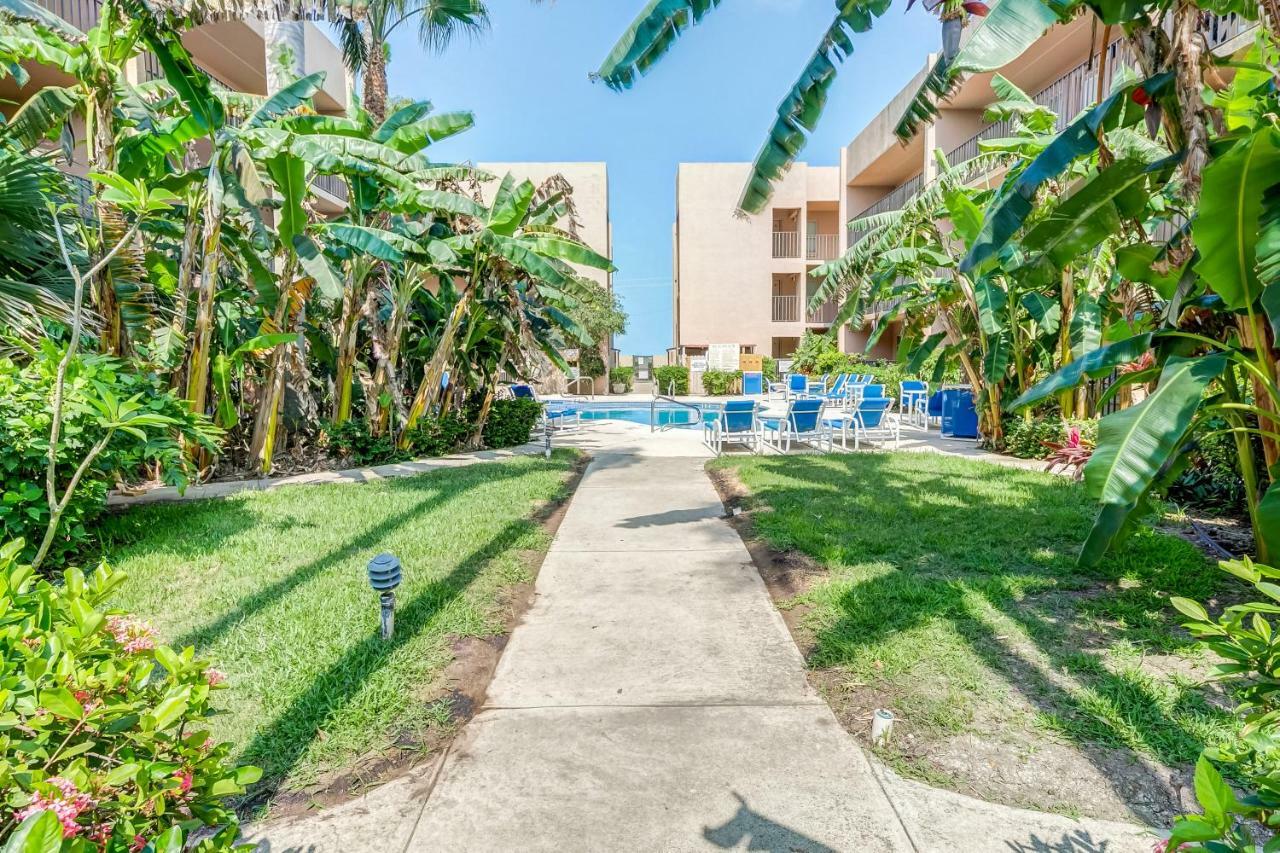 Palm Tree Escape Apartment Pulau Padre Selatan Bagian luar foto